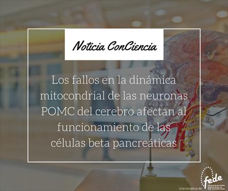  Â¿CÃ“MO SE COMUNICAN EL CEREBRO Y EL PÃNCREAS?