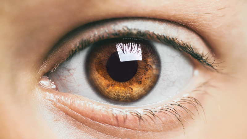 Patologías visuales y diabetes: una relación que no podemos pasar por alto