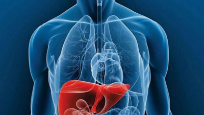 Una conexión silenciosa: diabetes y salud hepática